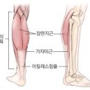 웨이투짐