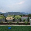 청도타임리스풀빌라 이미지