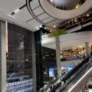 A-21 | 방콕 맛집 터미널21 Have a Zeed 후기