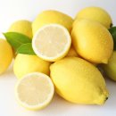 타로에 반하다 이미지