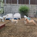 멍스테이션 이미지