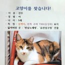 미추홀당구장 이미지