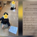 뮤지컬 맘마미아 이미지