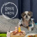 히피(HEEPY) 이미지