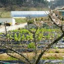 원산도해수욕장 화장실 이미지