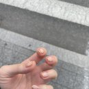 루시르 네일