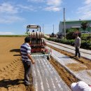 신안군농업기술센터 이미지