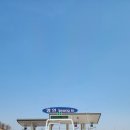 피나클랜드 | 아산 피나클랜드 방문 후기, 자연 속 힐링이 가능한 국내여행 아산 가볼만한곳 추천 (26.3.28.) 감점...