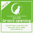 청수살롱 이미지