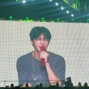 더X콘서트[커피칸타타] | 넌 사랑이 뭐라고 생각해? - 몬스타엑스 10주년 콘서트 connect x 후기 1탄