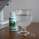 니코틴 배출 영양제 하루미츠 말차 브리즈 효능 우리몸에독소제거하는 법
