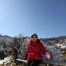 해익 이미지