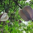 청암면사무소 이미지