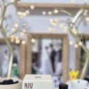 오드퍼퓸 은은한 잔향이 오래가는 #NJU 엔제이유 니치향수 솔직한 사용 후기