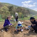 친환경농장 이미지