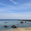 25년11월 정기산행 영덕 해파랑길 이미지