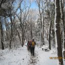 산성등산로3 이미지