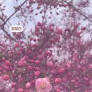 (주)정발산 이미지