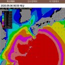 2020년 9월 6일(일, 10물) 첫 주꾸미 출조 이미지