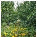 청용농장 이미지