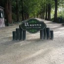 오투하우스 네이버블로그