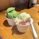 수원-1854 | 화성 봉담맛집 아기와 함께 오기 좋은 신동랩 방문후기