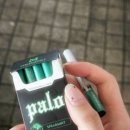 찰나의 행복을 영원으로 만들자
