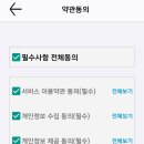 입장전자