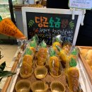 베이커리하루