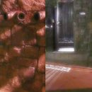 조은사랑 이미지