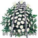 남순옥 Daum카페