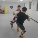 안양주짓수파크 이미지