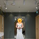 슬림파인 | [브라이드영] 도비실크 머메이드 탑 슬림 드레스 후기