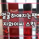 지와이씨 이미지