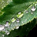 점프키즈센터 이미지