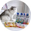 수분옆들 | 여름철 물 안 마시는 고양이, 수분 보충 고양이 간식 뉴트리스틱 후기