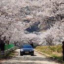 거창-고제-3 이미지