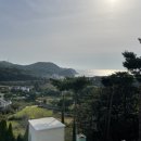 빌라마래 이미지