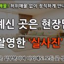 프리모공인중개사사무소 이미지