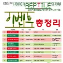 렙타일코리아 이미지