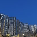 [강릉 맛집] 강릉 두쫀쿠 맛집 1위 앤드투앤드 주말 웨이팅 / 구매후기