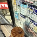 철인약국 | 2025년 10월 일상