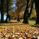 나무부동산중개 이미지