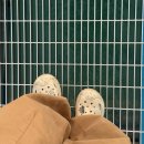 목포정보 | [여행](목포) 스카이워크 일몰 시간대 방문 후기 및 주차 정보