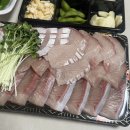 활어장군 | 진접 맛집 추천 활어장군 진접장현점 후기