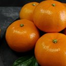 제주달다 이미지