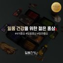 일품진성