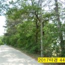 고백보건진료소 이미지