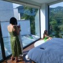 까미노데플로레스타2 이미지