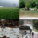 삼생2리 이미지